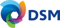 DSM