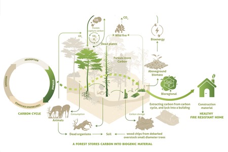 Autopoiesis X Except_Lehmbau_Locking Carbon