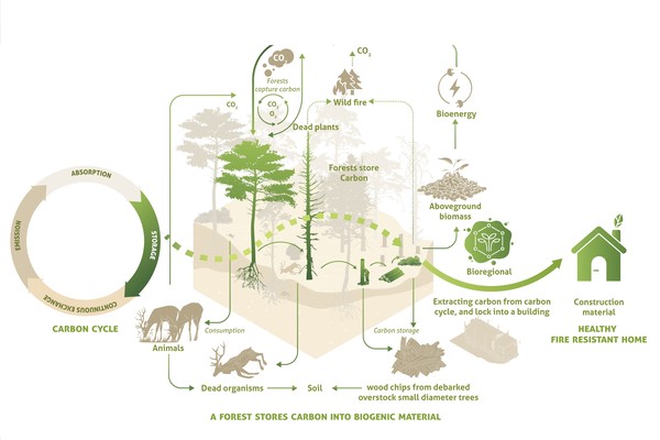 Autopoiesis X Except_Lehmbau_Locking Carbon