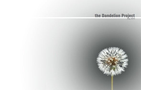 Dandelion asset image.jpg