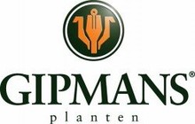 Gipmans__NL_profile_logo.jpg