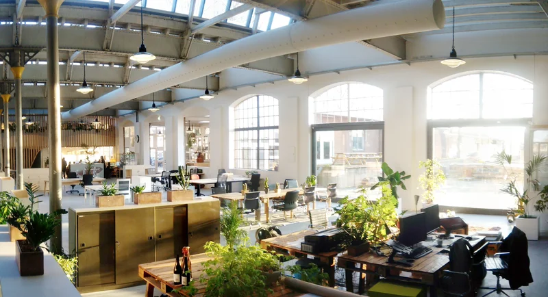UCo open-plan office under the original skylight roof