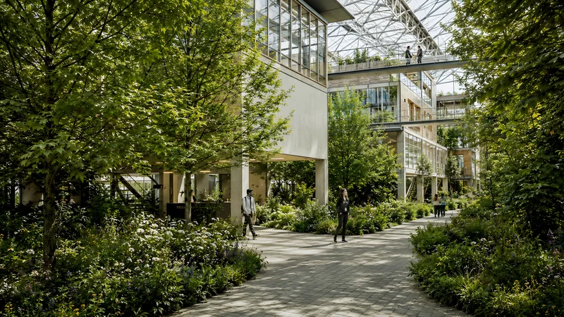 Schiphol Catalyst green corridor concept
