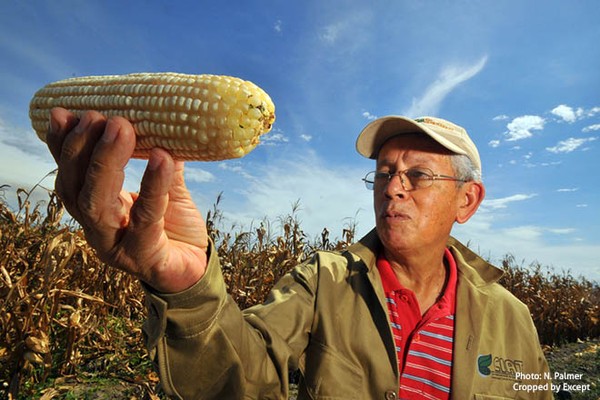 Farmer