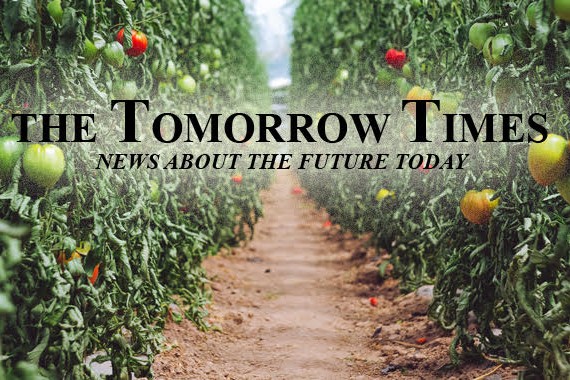 theTomorrowTimes_April_web