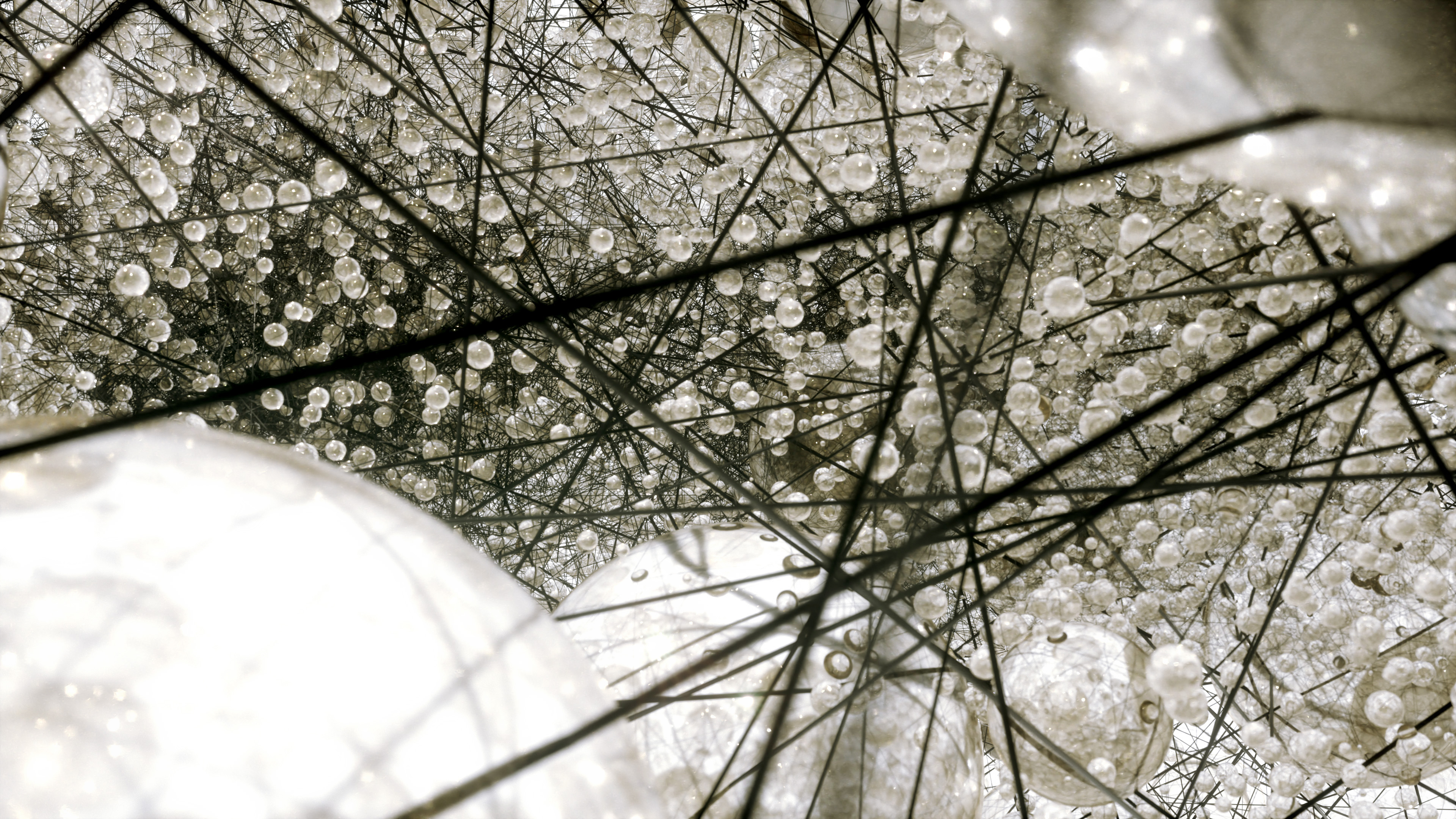 SiD Framework